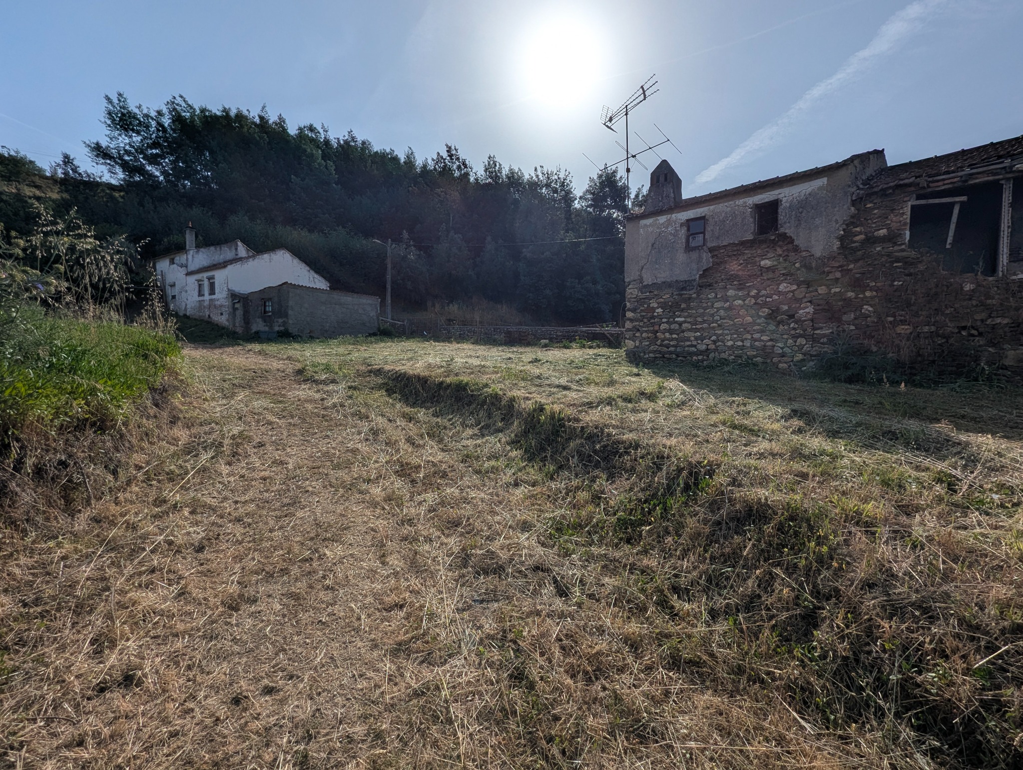 Open ground beside the rear schist walls