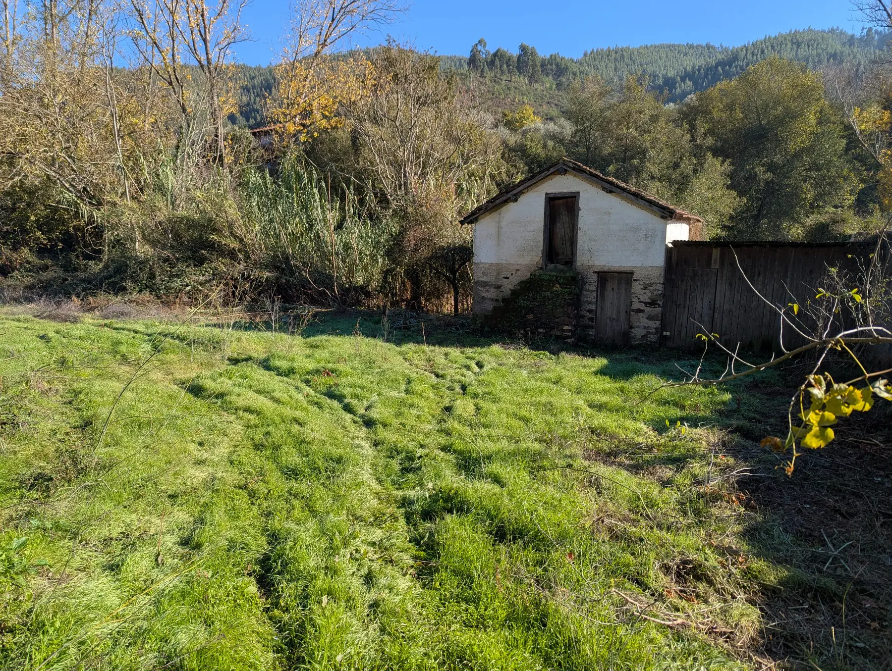 Building seen across the meadow