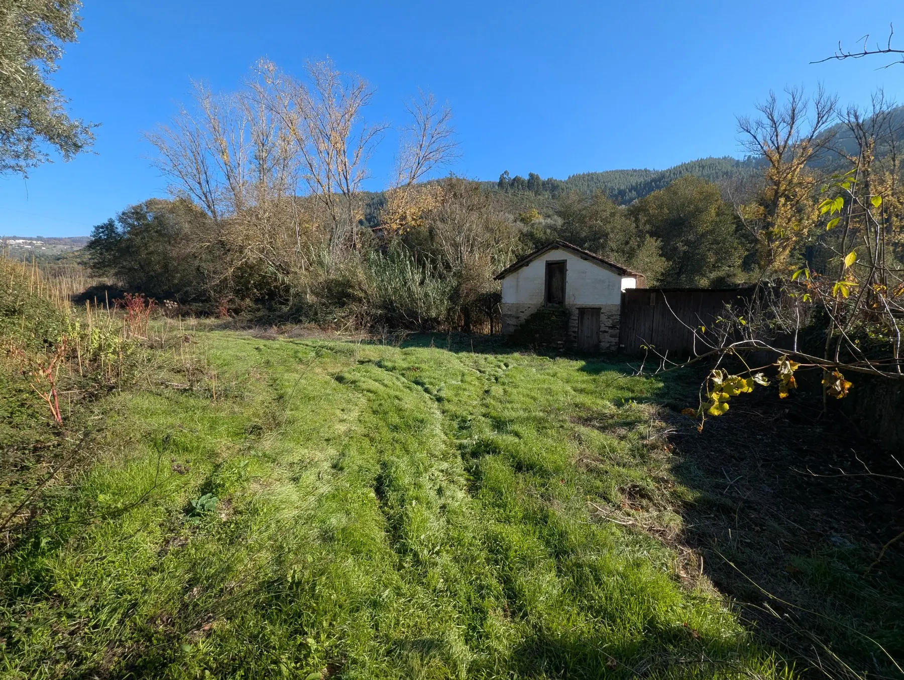 Open meadow and existing building at Chãos