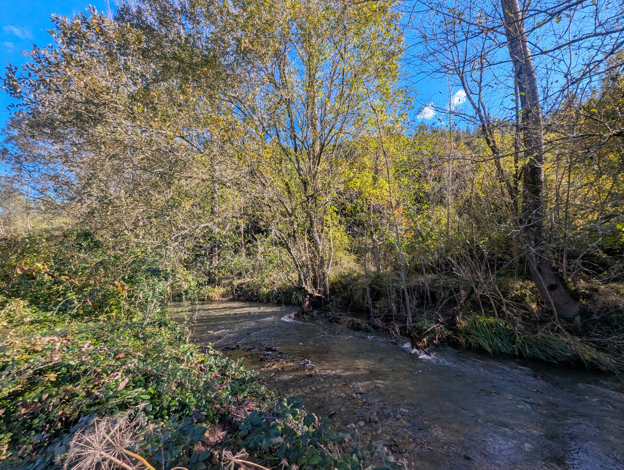Ribeira da Mata junto à propriedade