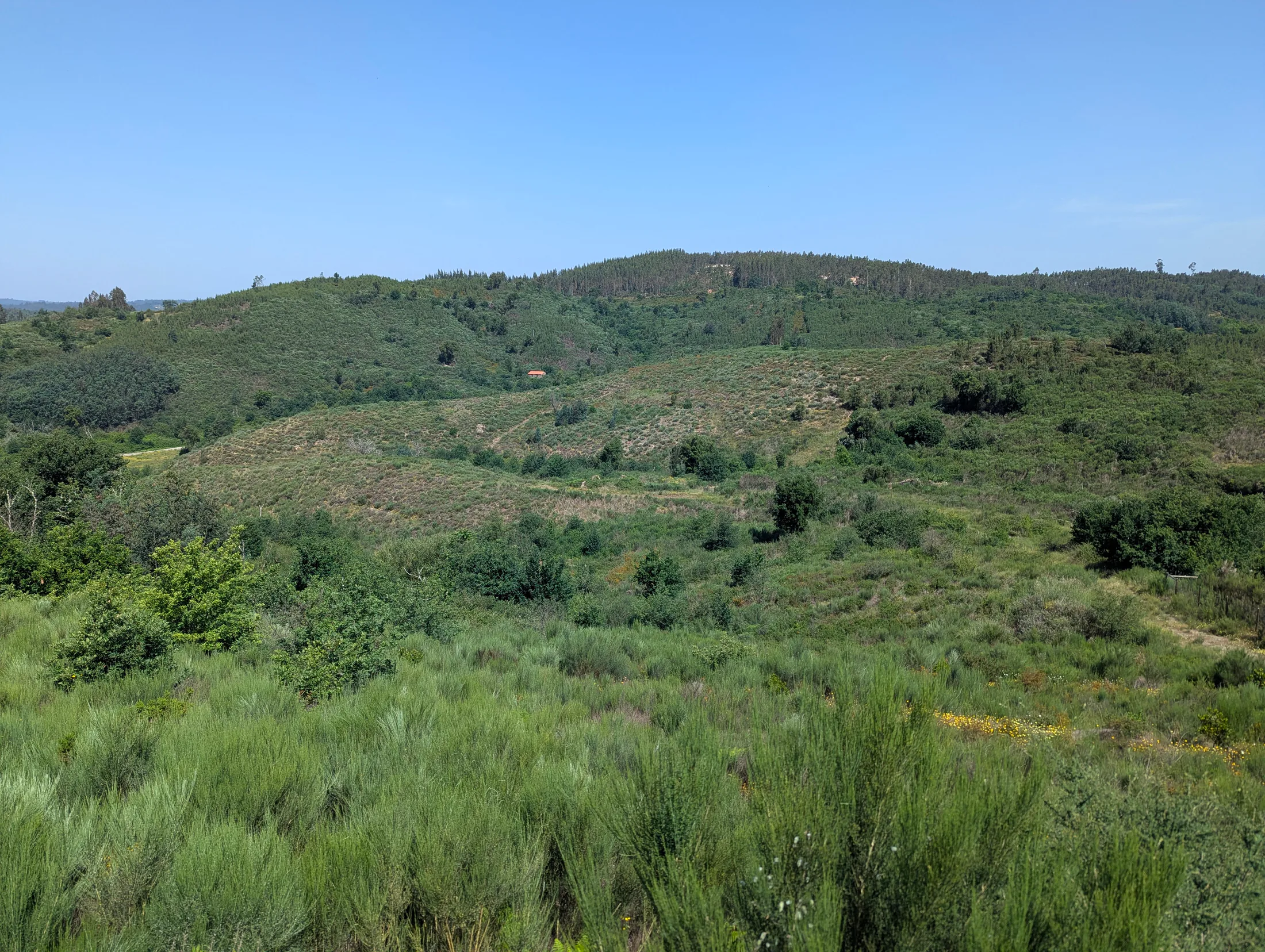 Wide green landscape of Candosa
