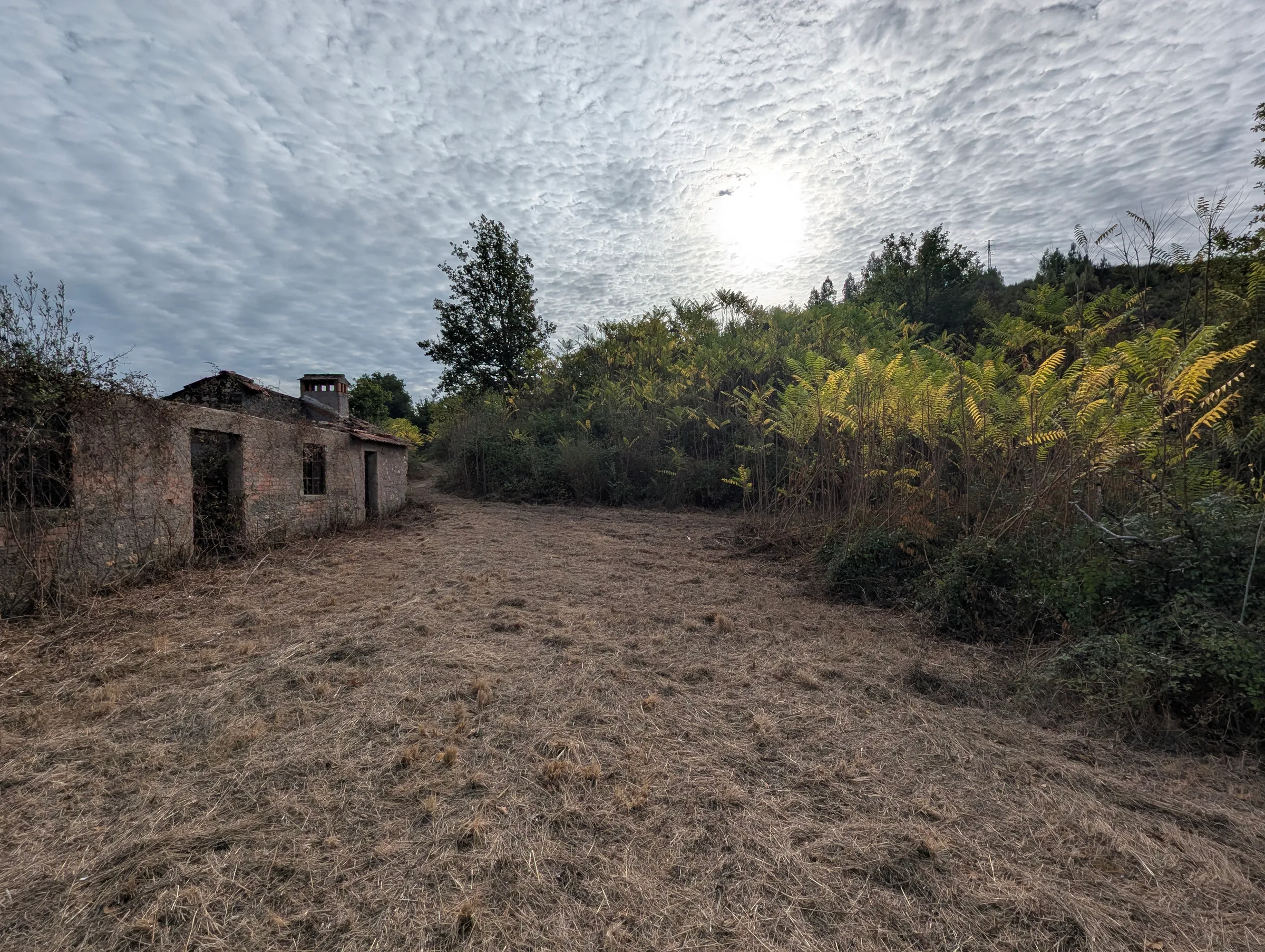 Vestígios da grande casa rural registada em Candosa