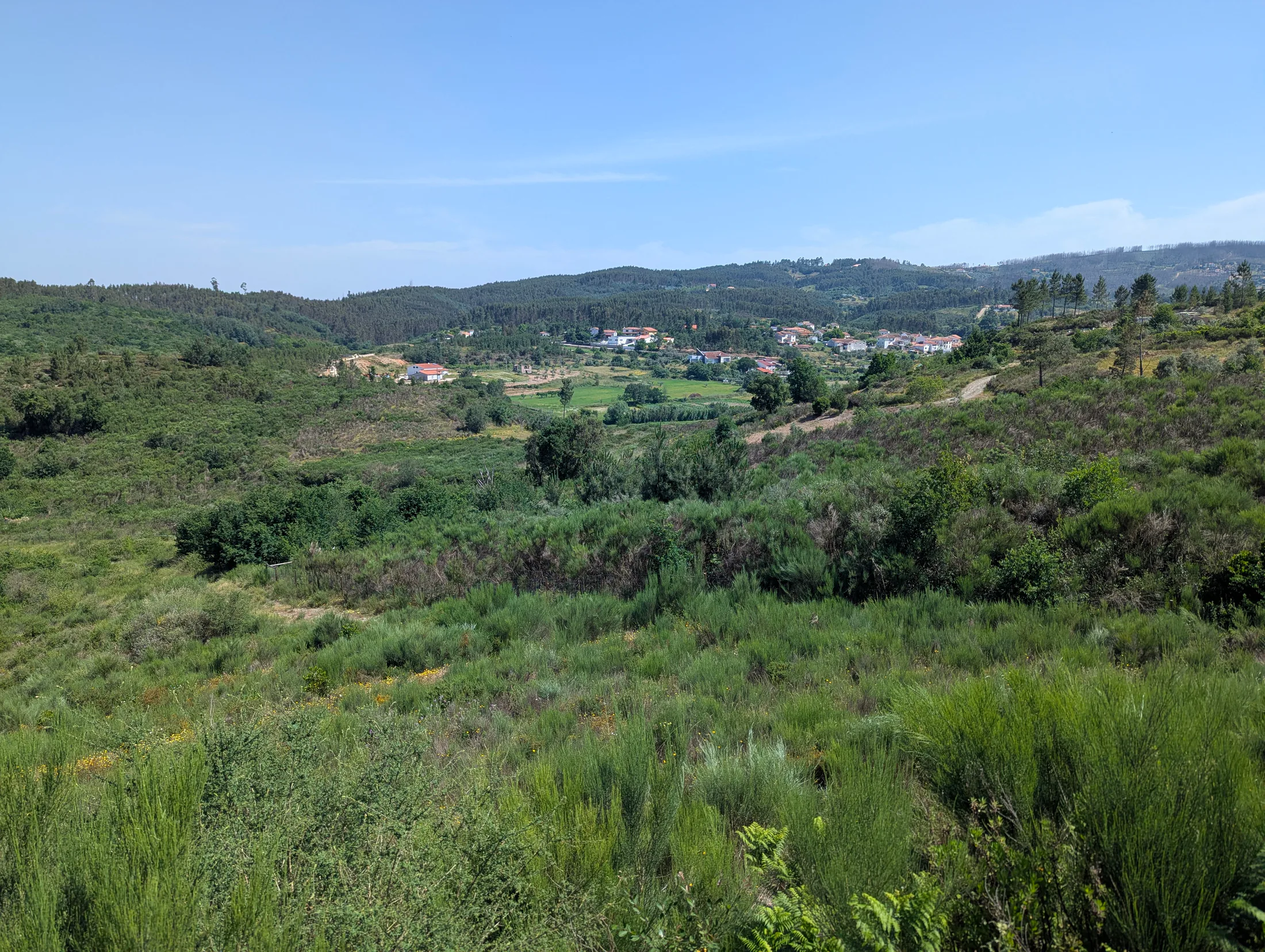 Panoramic view across the green Pisao valley