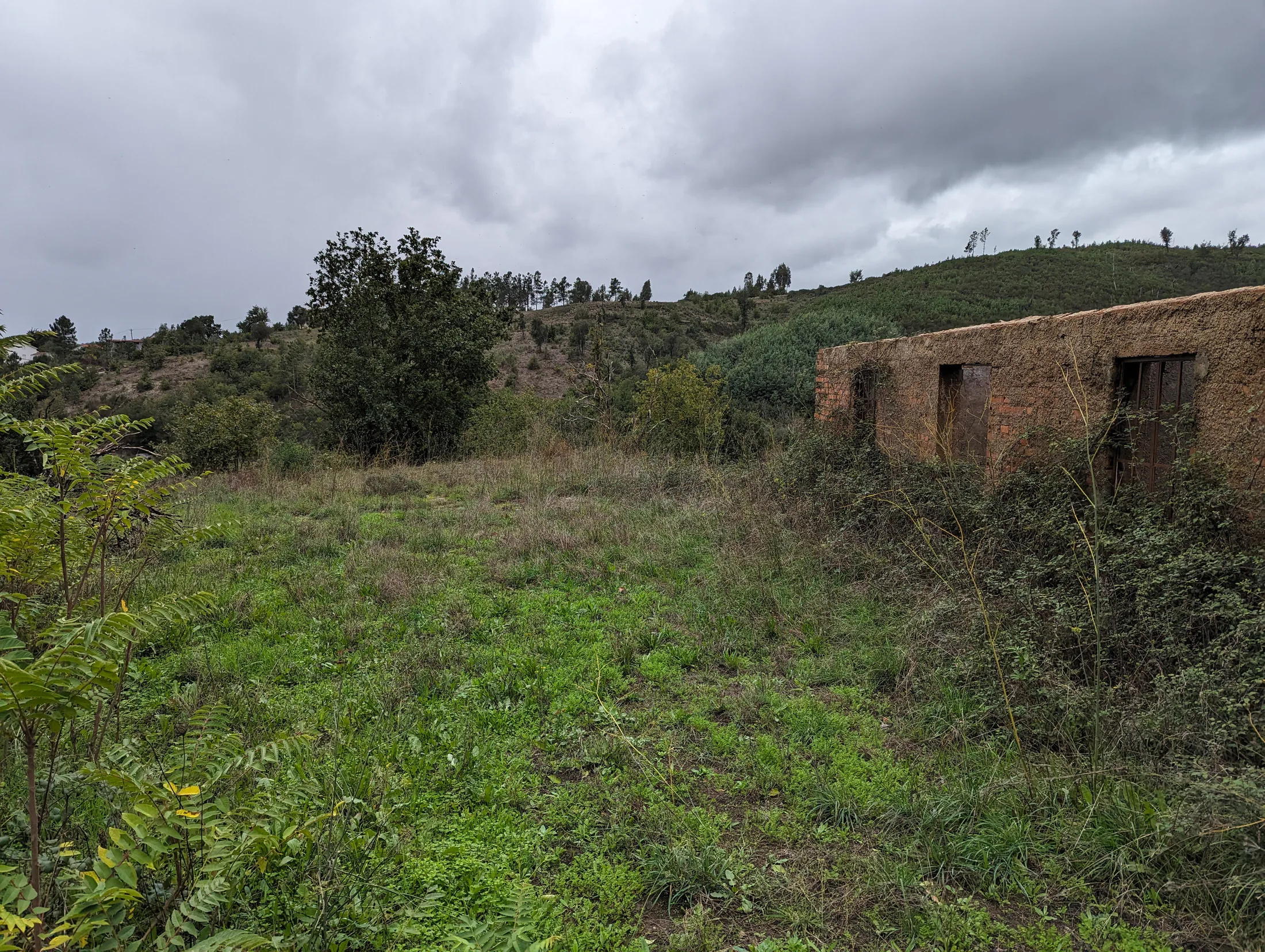 Registered rural ruin on Candosa