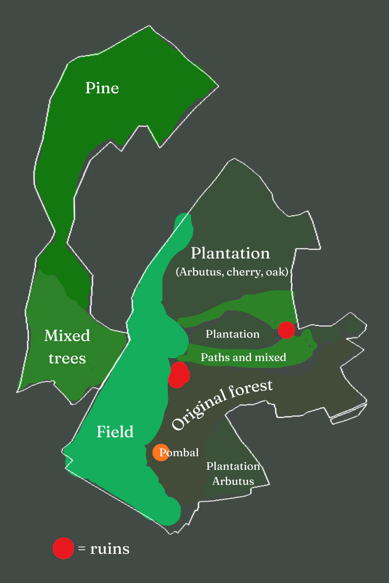 Diagram showing the vegetation, paths, ruins, field and woodland across Candosa and Valverde