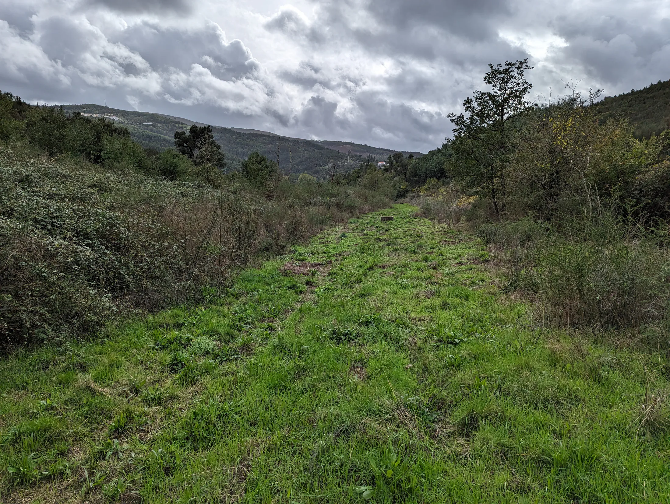 Grass-covered path passing through Candosa