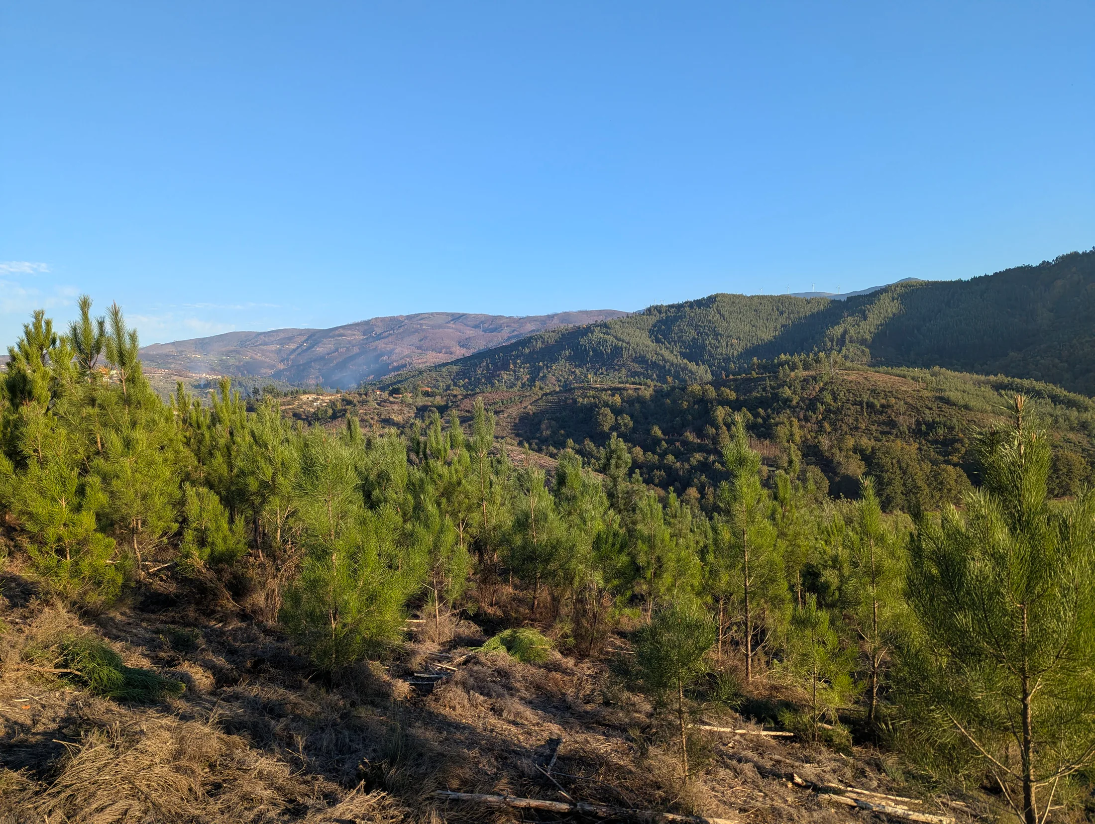 Mountain panorama seen from Valverde